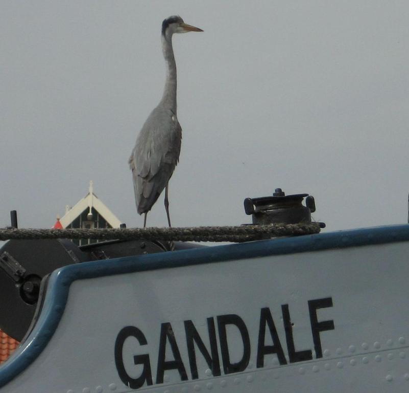 Hotelschip Gandalf Άμστερνταμ Εξωτερικό φωτογραφία
